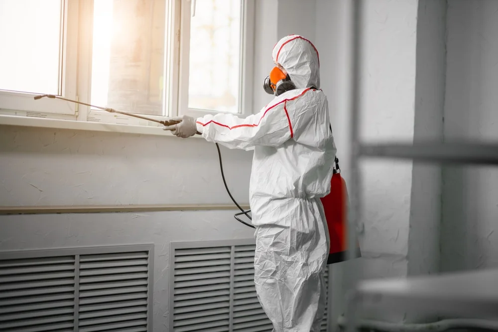 Professional mold remediation services in Greenfield, NH